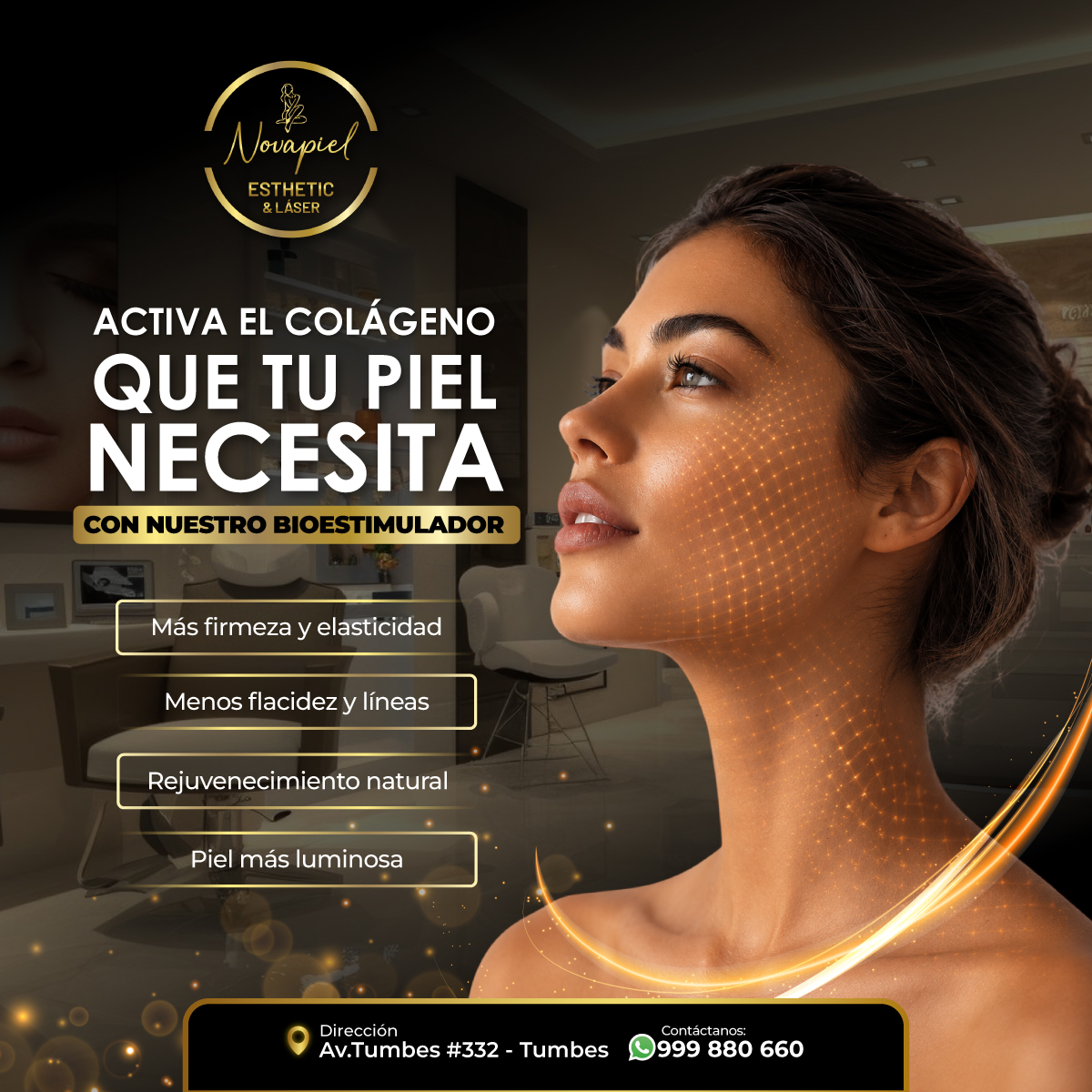 Imagen 6
